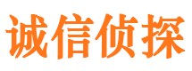 嘉峪关市侦探